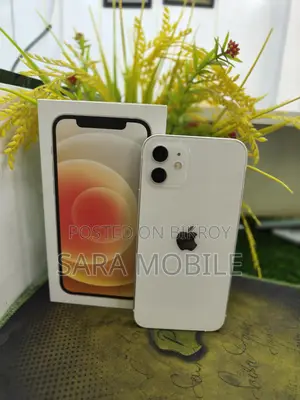 Apple iPhone 12 (Used)