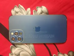 Apple iPhone 12 Pro (Used)