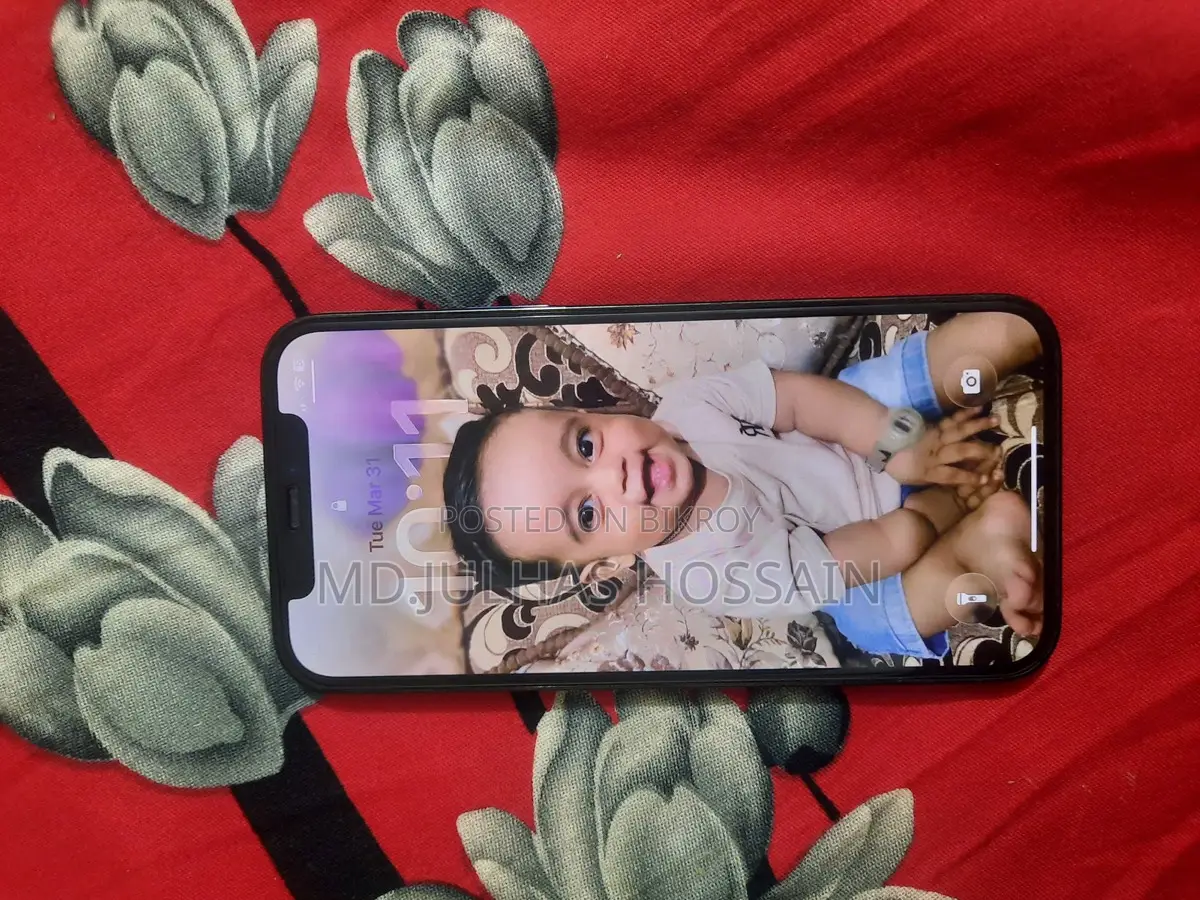 Apple iPhone 12 Pro (Used)
