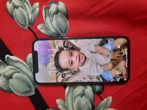 Apple iPhone 12 Pro (Used)