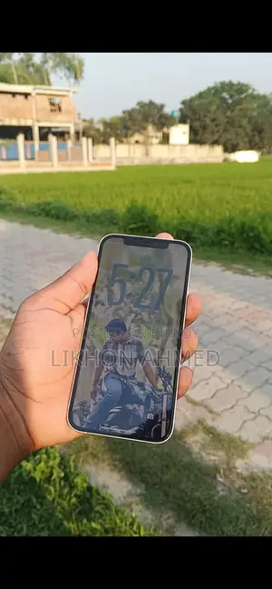 Apple iPhone 12 (Used)
