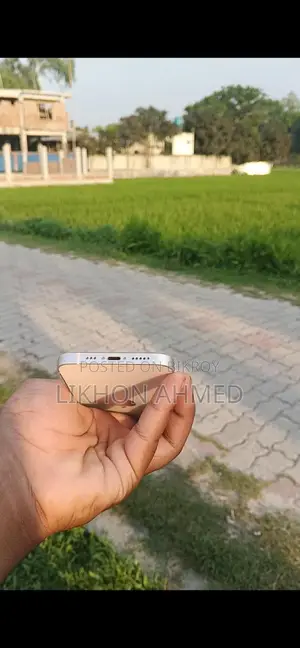 Apple iPhone 12 (Used)