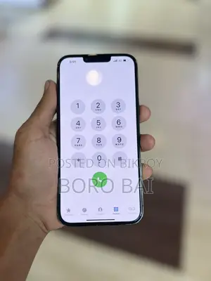 Apple iPhone 13 Pro Max 256gb Sonargoan (Used)