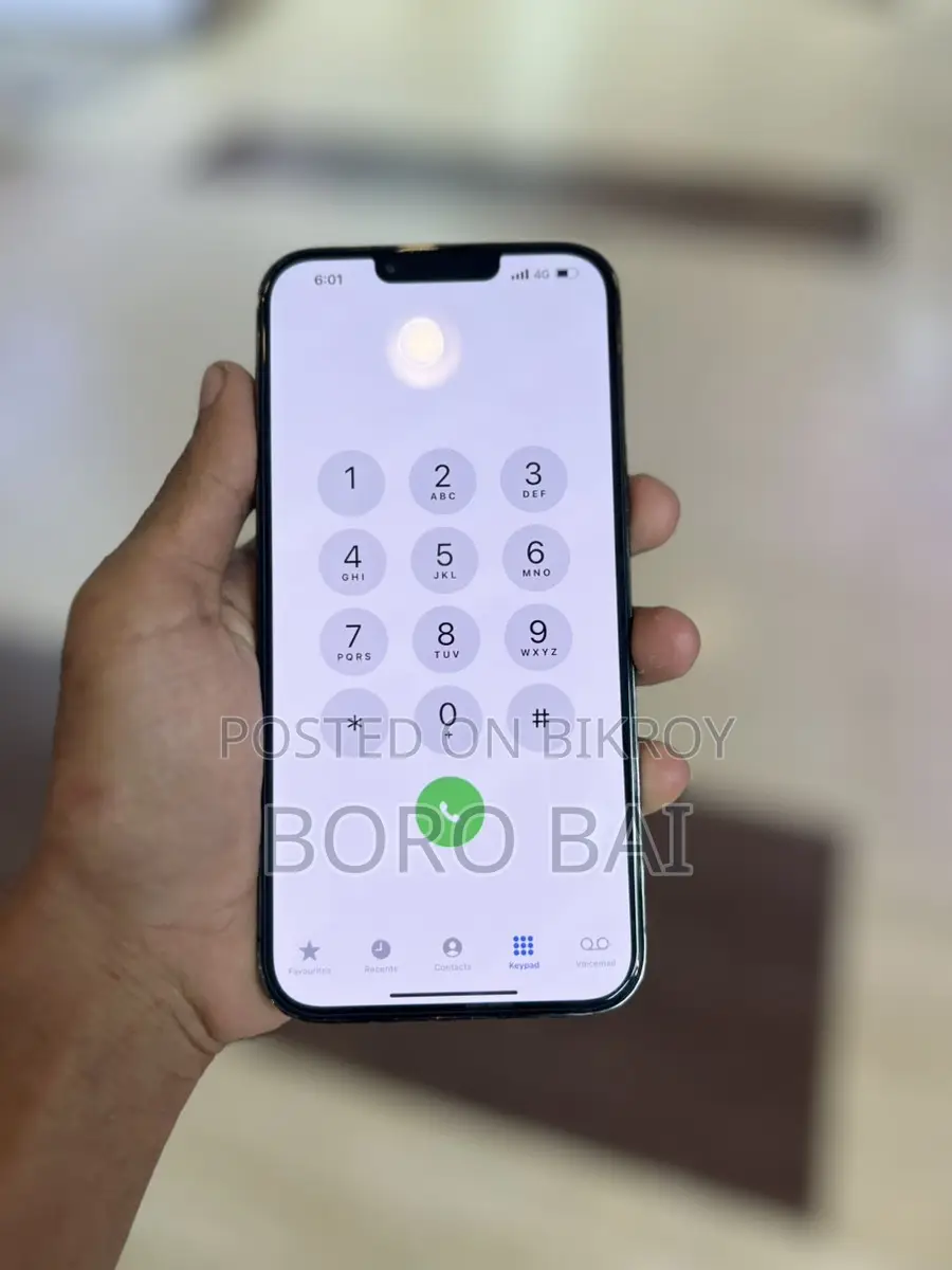 Apple iPhone 13 Pro Max 256gb Sonargoan (Used)