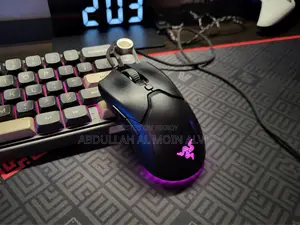 Razer Viper Mini