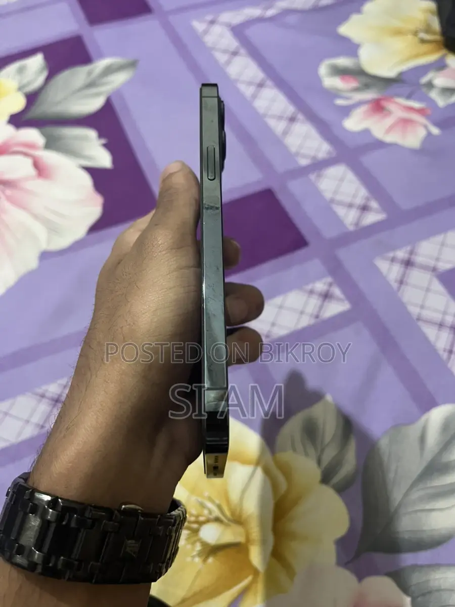 Apple iPhone 12 Pro Max (Used)
