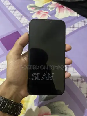 Apple iPhone 12 Pro Max (Used)