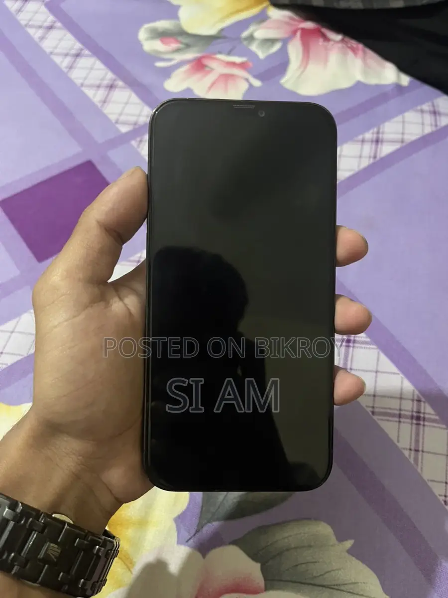 Apple iPhone 12 Pro Max (Used)