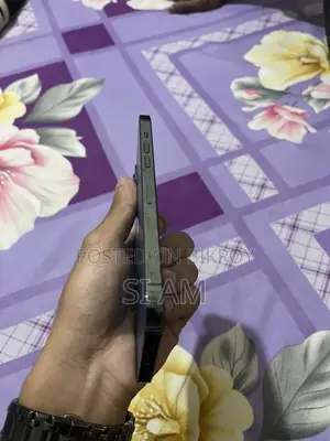 Apple iPhone 12 Pro Max (Used)