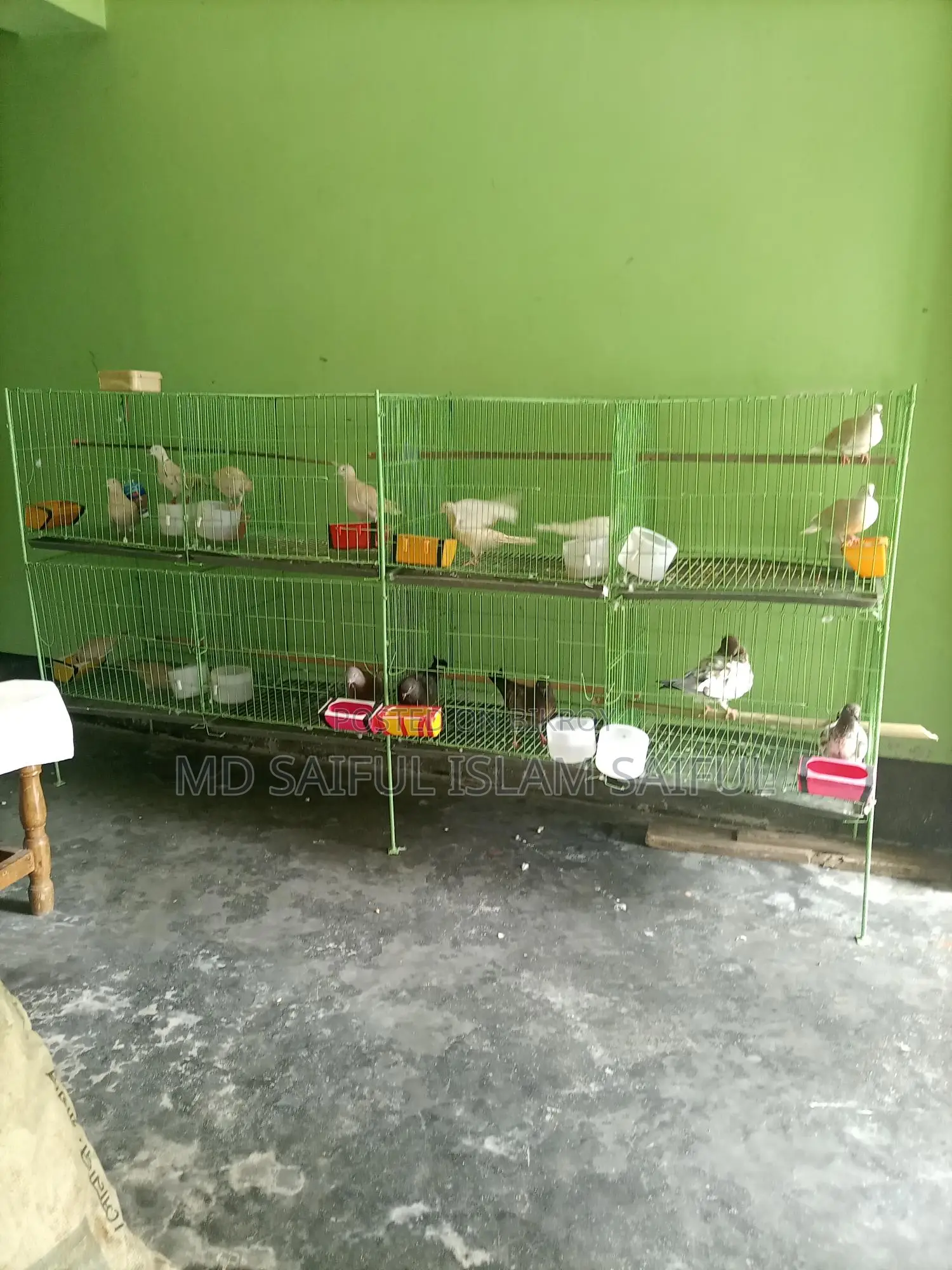পাখি এবং কবুতরের খাঁচা