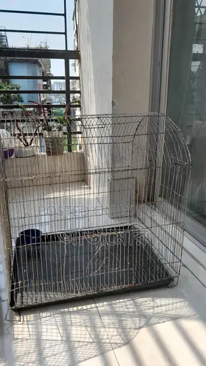 দুটি খাচা আর পাখির কিছু জিনিস বিক্রি হবে
