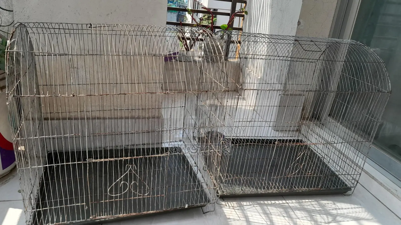 দুটি খাচা আর পাখির কিছু জিনিস বিক্রি হবে