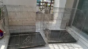 দুটি খাচা আর পাখির কিছু জিনিস বিক্রি হবে