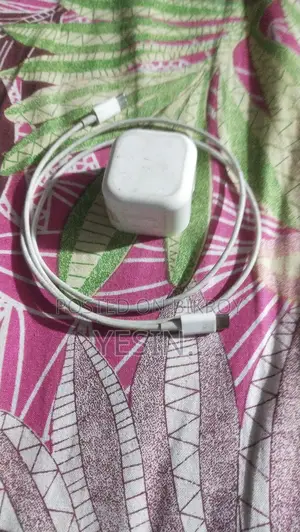 Iphone Charger