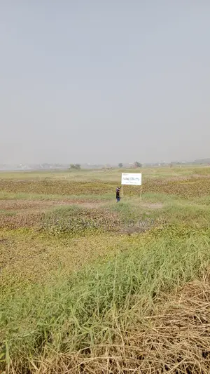 Large Land for Sale Beside the Road