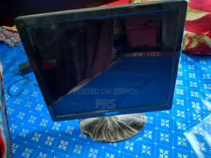 Skyview Monitor + TV 17'