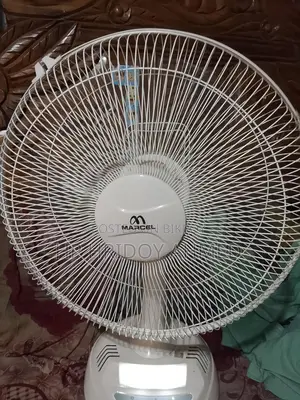 Fan for Sale