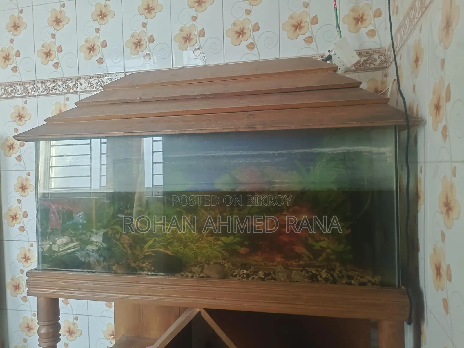 একুরিয়াম বিক্রয় হবে।