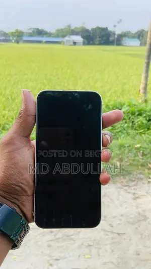 Apple iPhone 13 (Used)