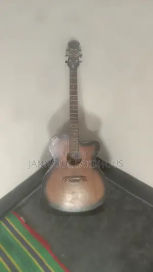 ব্যবহৃত গিটার