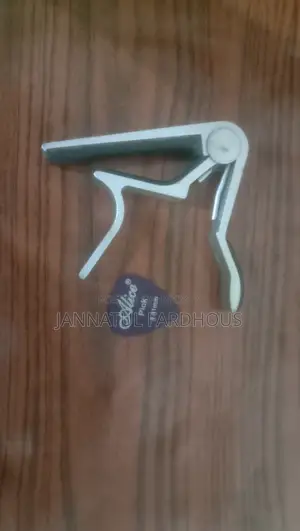 ব্যবহৃত গিটার