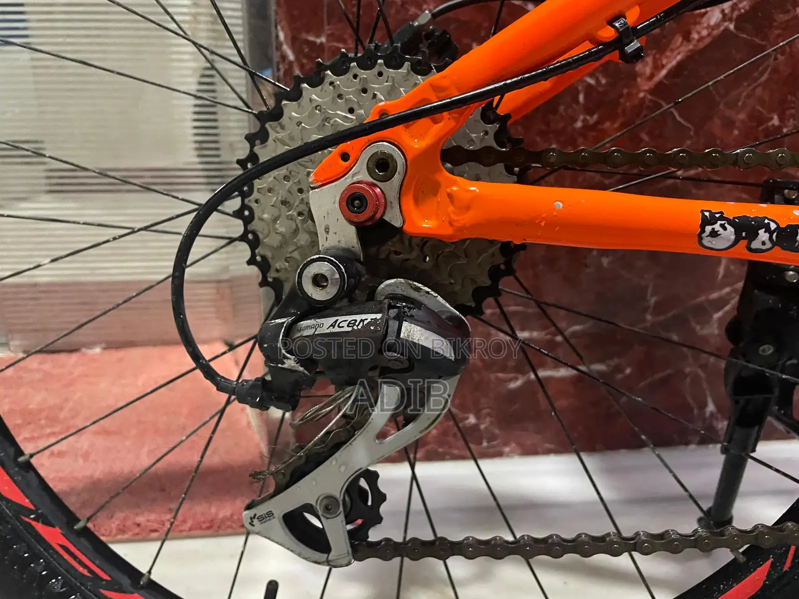 Custom Build Cycle For Sale
