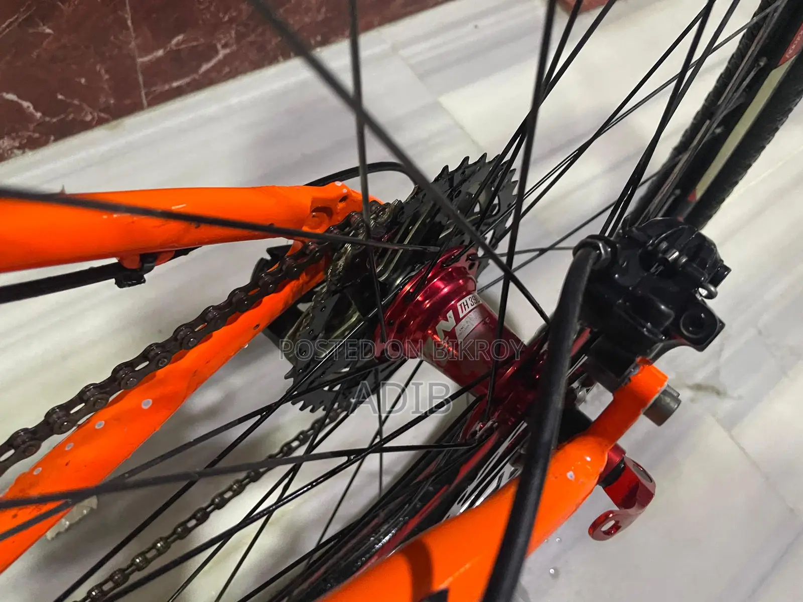Custom Build Cycle For Sale