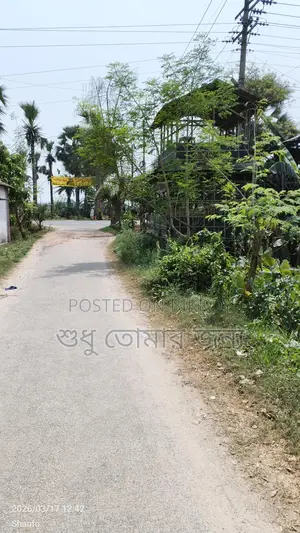 জমিটা বাসা বাড়ি করার জন্য