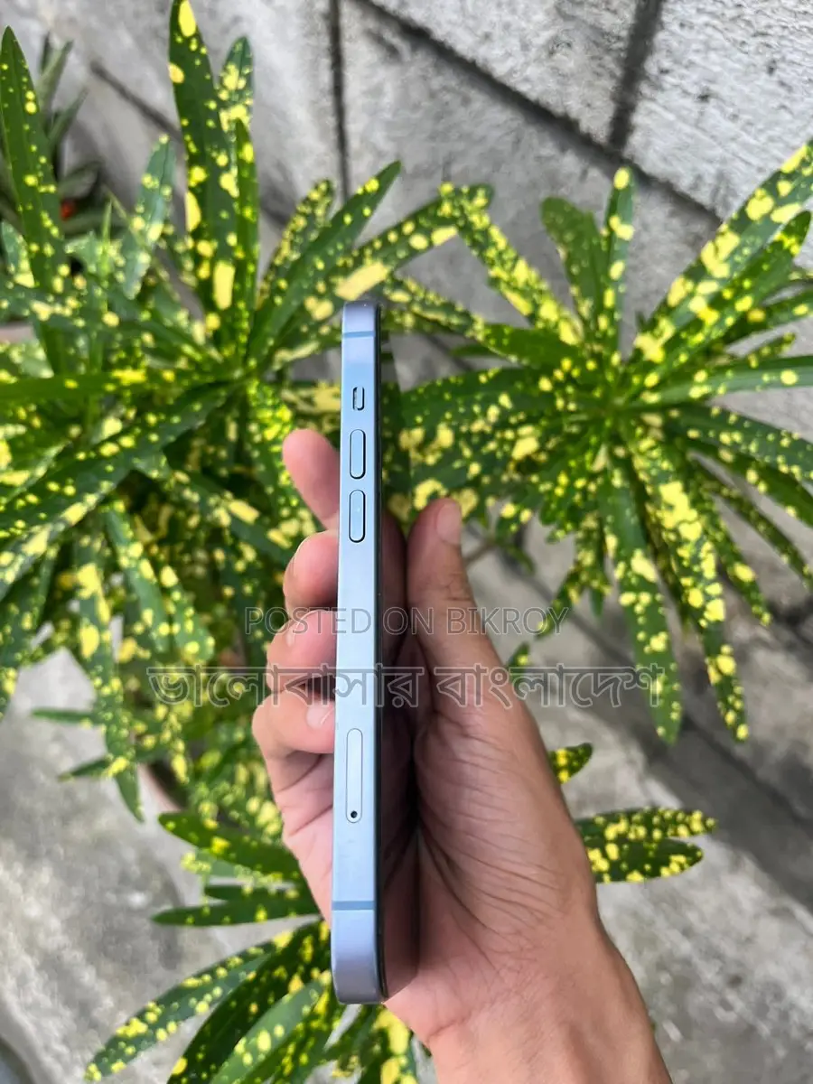 Apple iPhone 14 (Used)