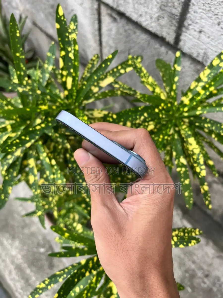 Apple iPhone 14 (Used)