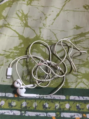 Apple Original lightning headphone