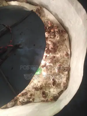 টাইগার মুরগী