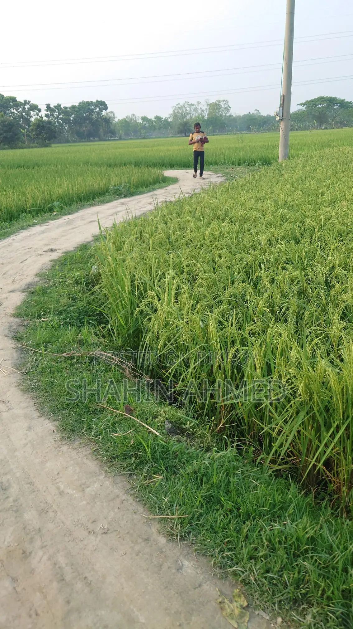 Land for Sale