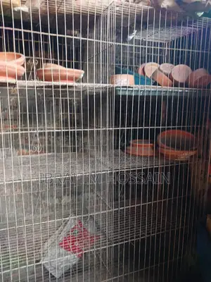 পাখির খাঁচা