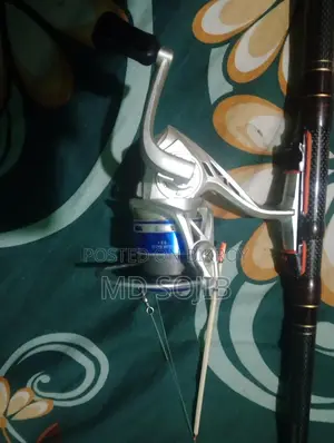 কিং ফিসার আলফা কার্বন মেশিন সহ ছয় মাস বয়স ৯ ফিট লম্বা