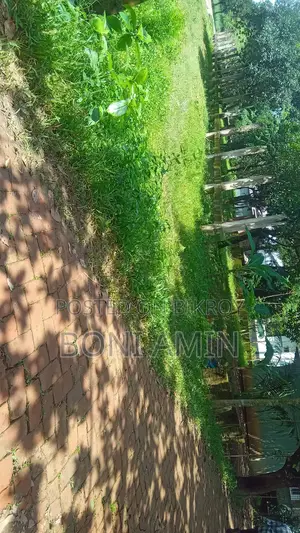 Land for Sale @ Gazipur, Maona