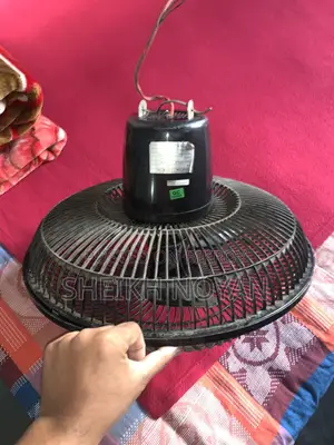 Fan for sale