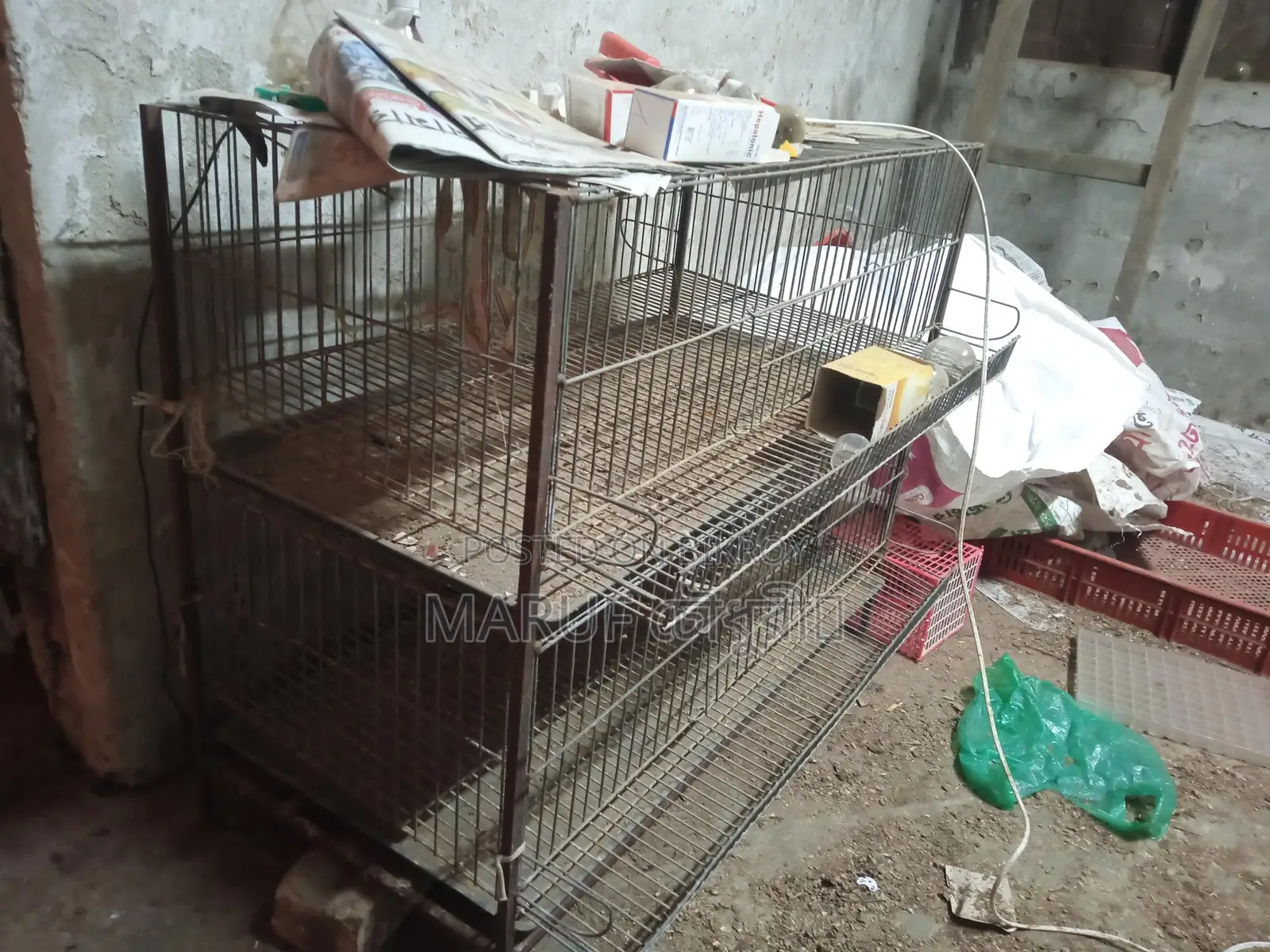 Quail Bird Cage