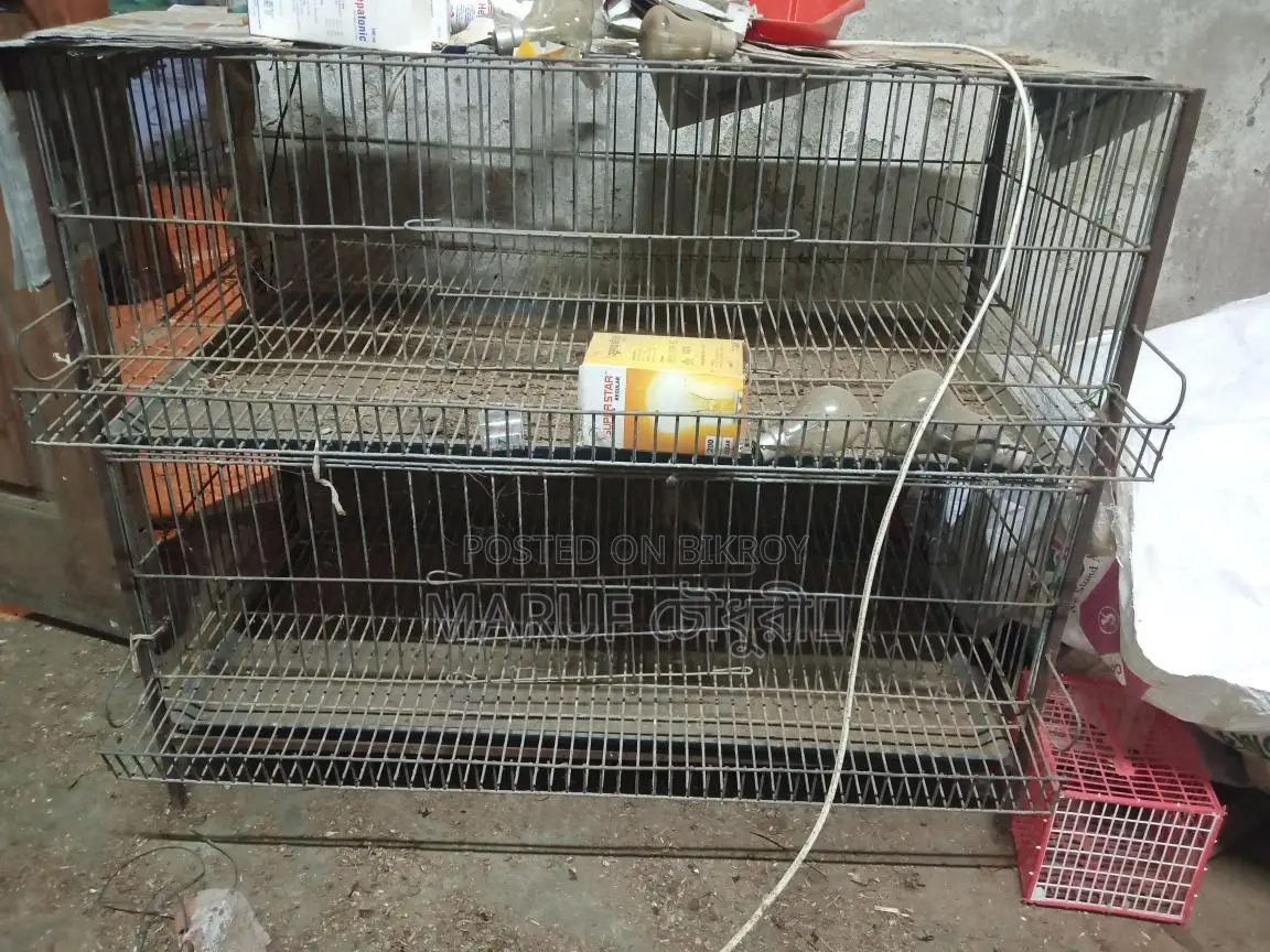 Quail Bird Cage