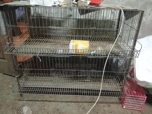 Quail Bird Cage