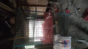 কোয়েল এবং মুরগির খাঁচা বিক্রি করা হবে।