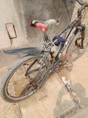 Bicycle For Sale