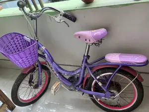 Phoenix Bicycle for sale