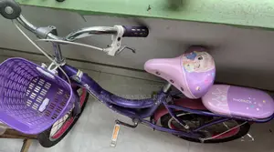 Phoenix Bicycle for sale