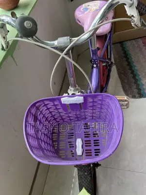 Phoenix Bicycle for sale