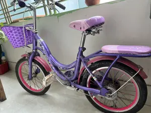 Phoenix Bicycle for sale