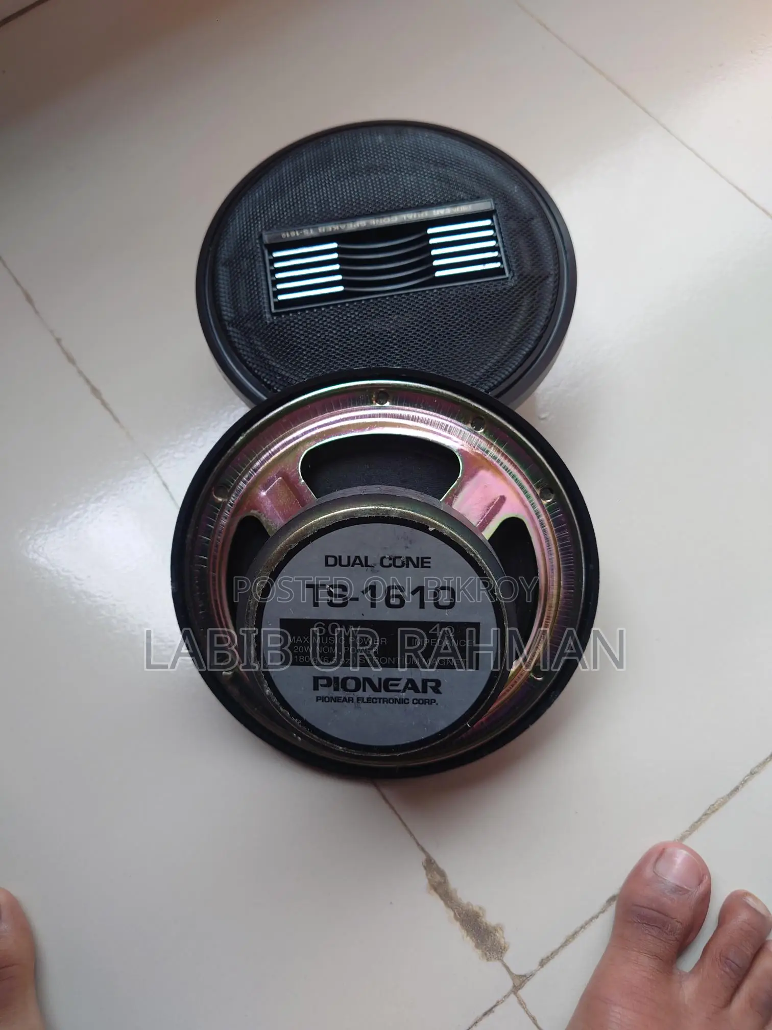 Pioneer Dual Cone TS-1610