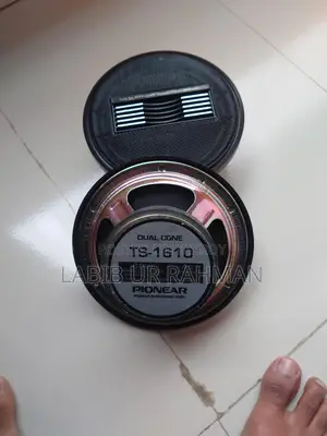 Pioneer Dual Cone TS-1610