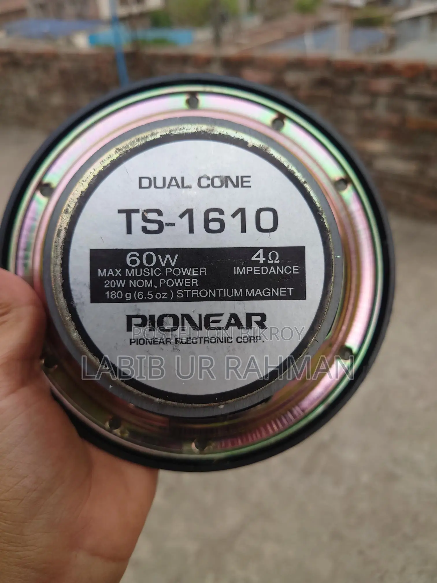 Pioneer Dual Cone TS-1610