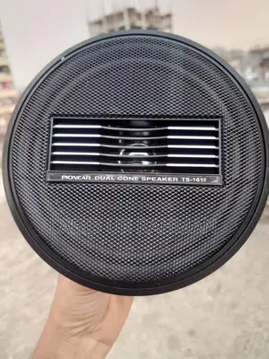 Pioneer Dual Cone TS-1610